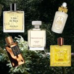 Oakmoss: The Perfumer’s Gift – The Perfume Society
