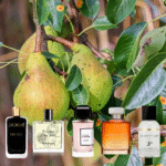 Perfectly Picked Pear Perfumes… – The Perfume Society